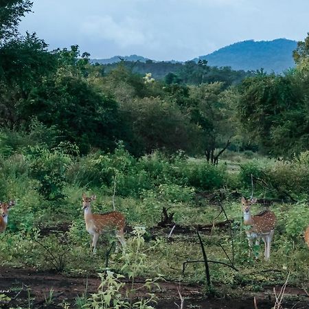 Lakegala Resort Matale Luaran gambar
