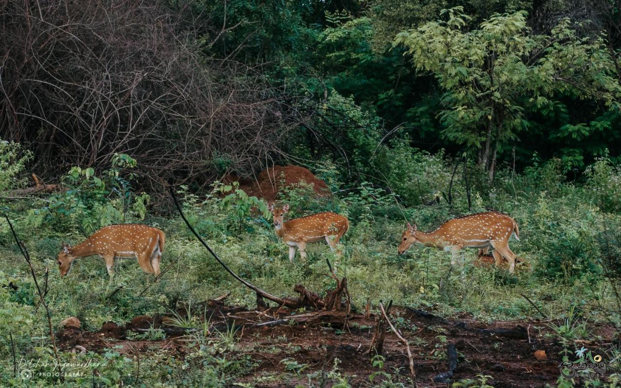 Lakegala Resort Matale Luaran gambar