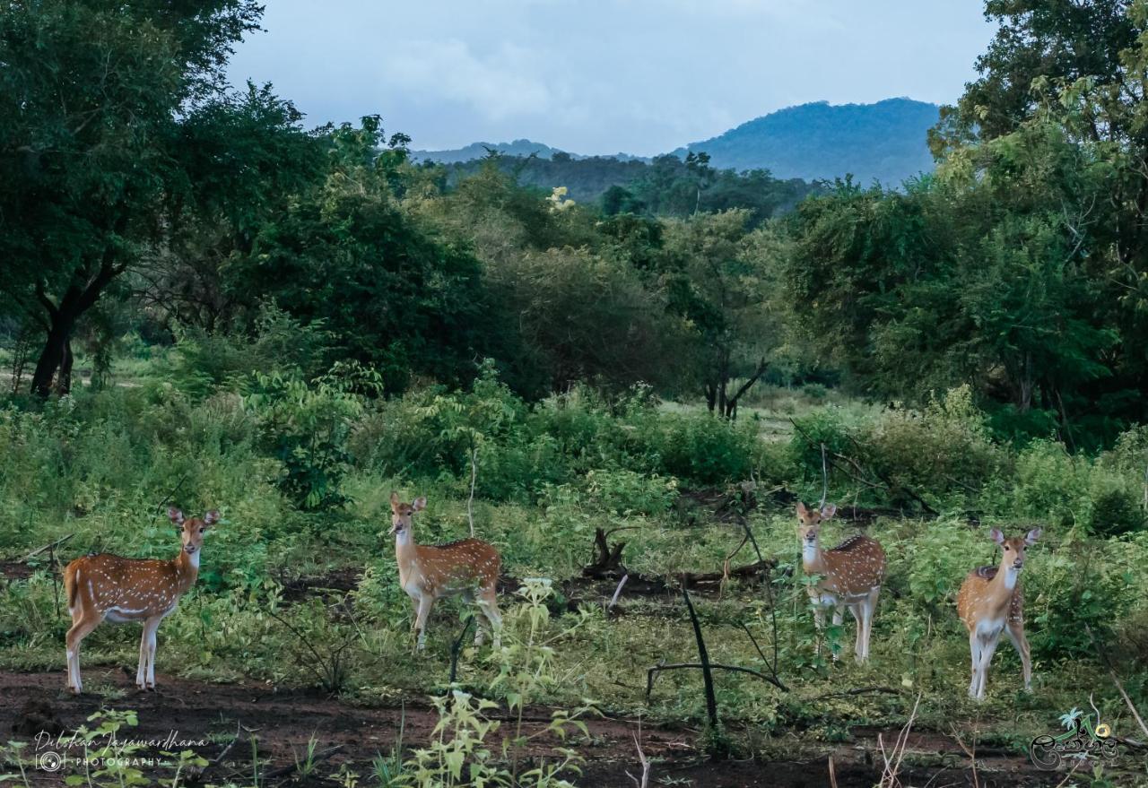 Lakegala Resort Matale Luaran gambar